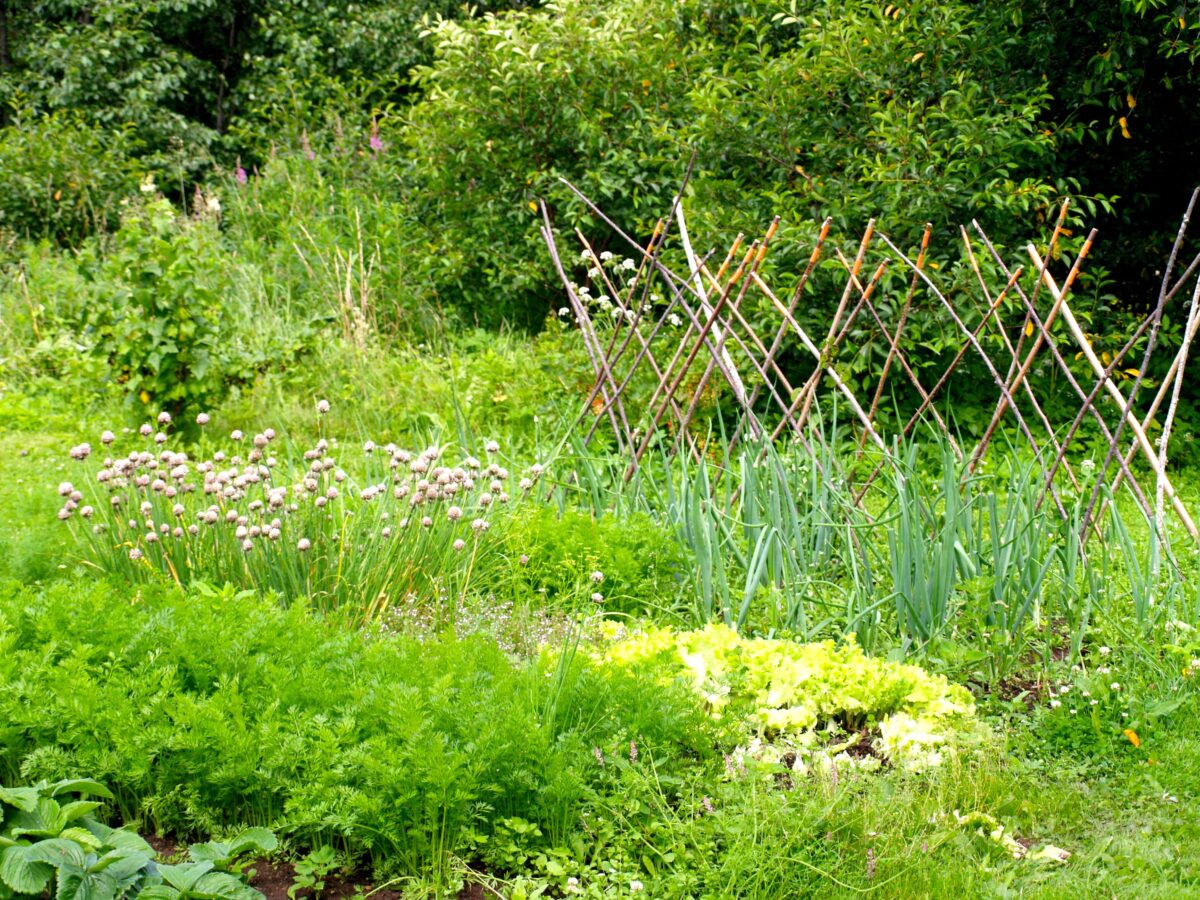 Järve Farmhouse garden