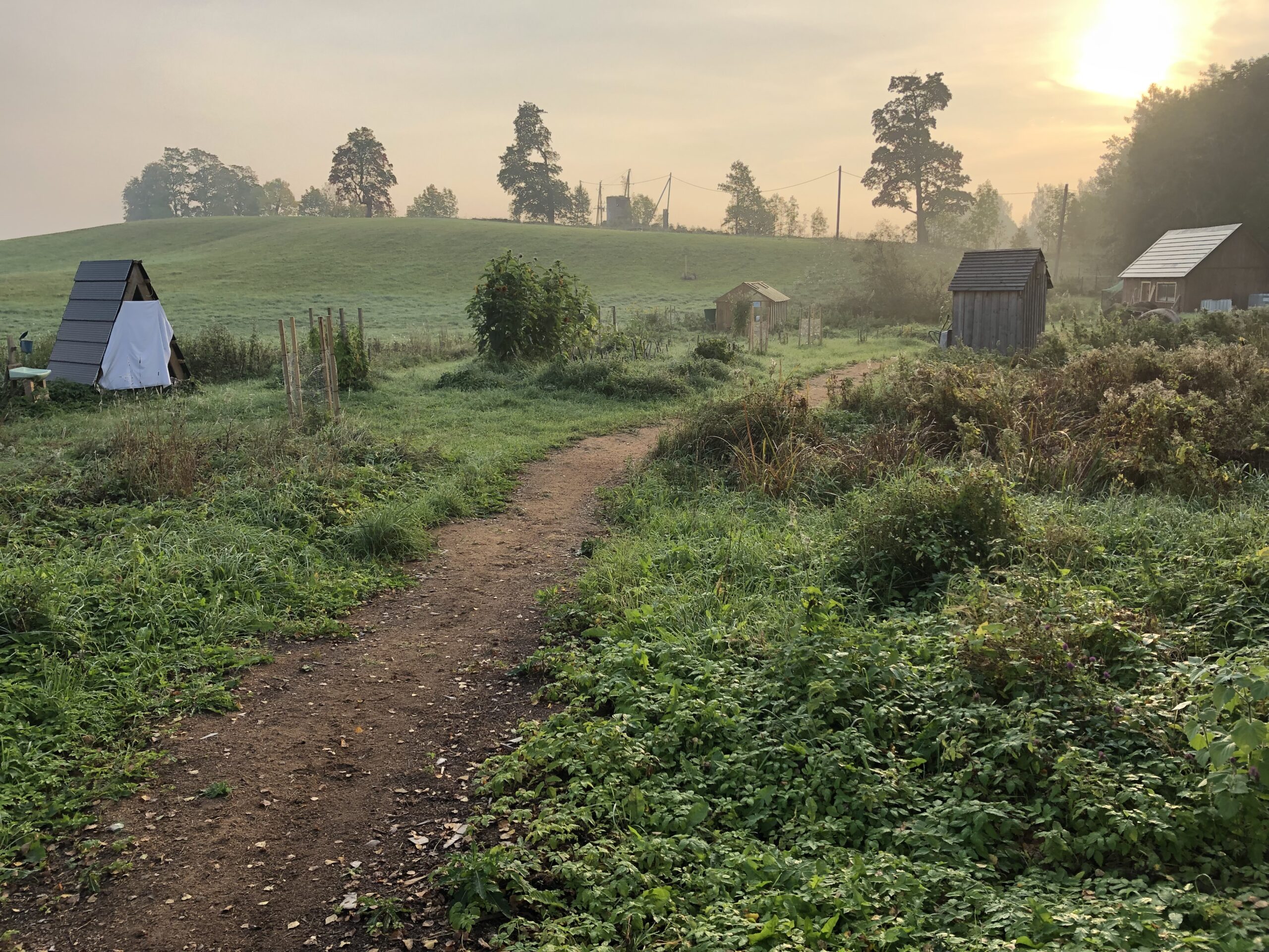 Welcome to Tsirgumäe Food Forest - Tsirgumäe Food Forest Homepage